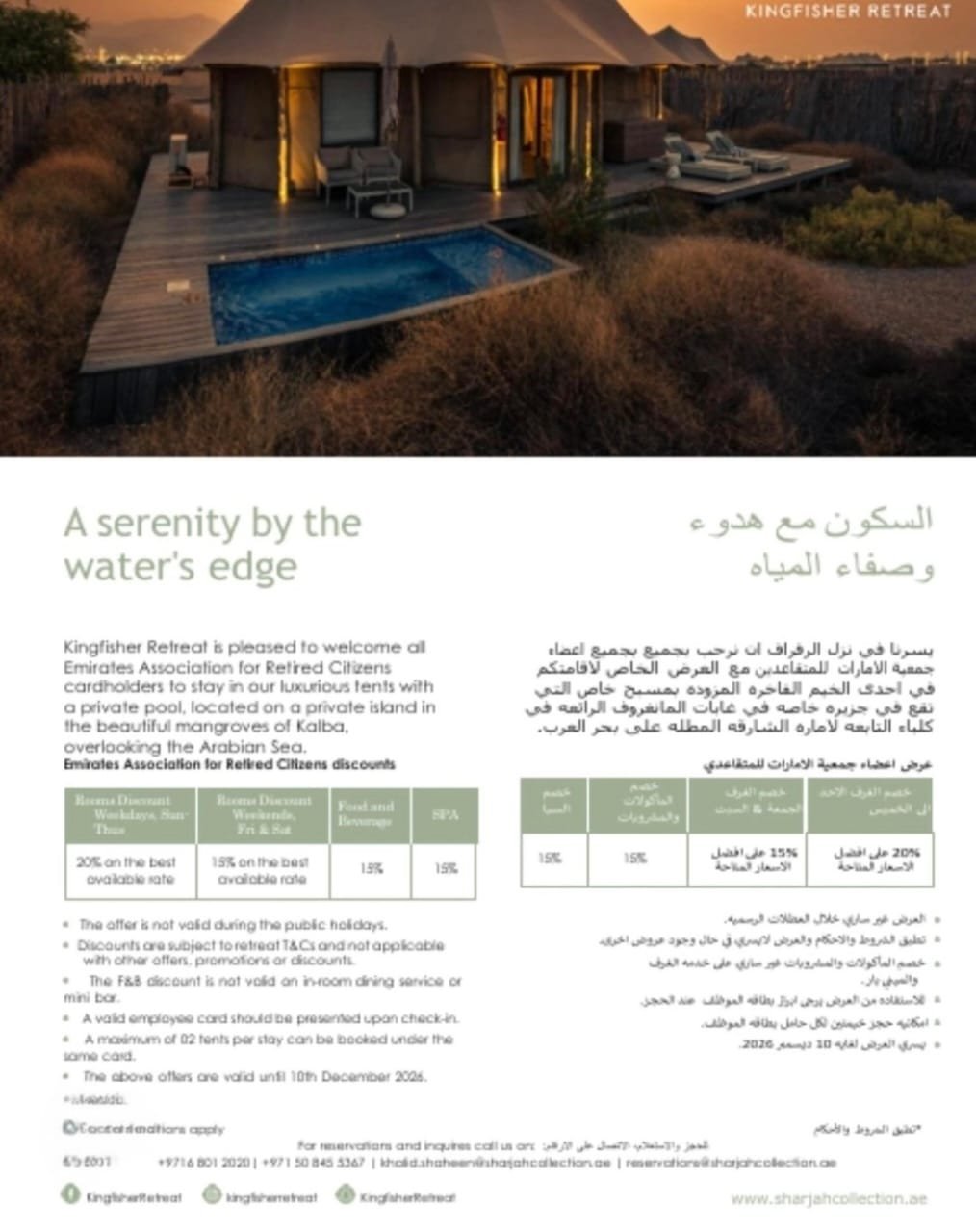 صورة المقال